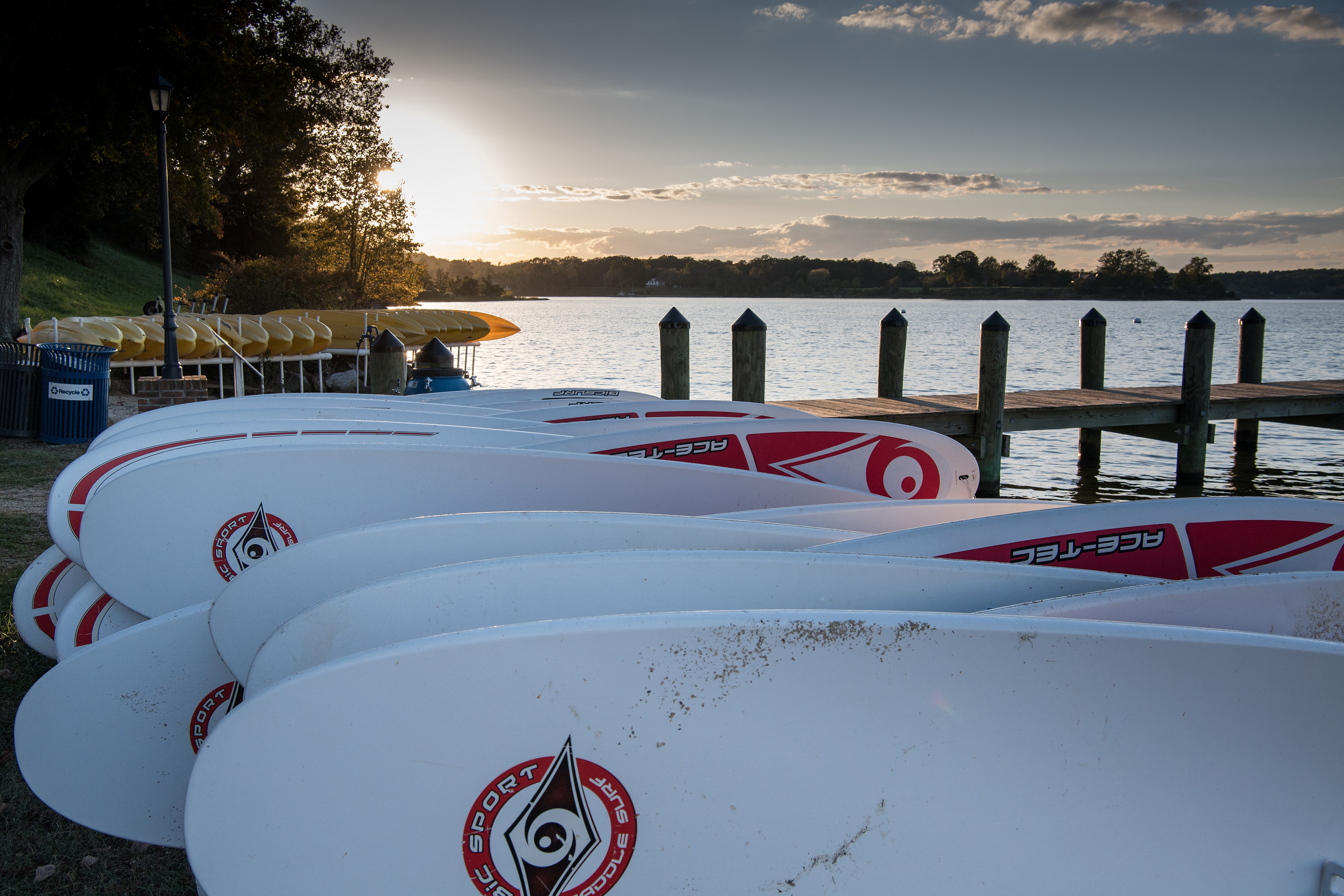 A row of white and red paddleboards and yellow kayaks are stored by a dock on the river