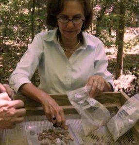 Julie King sorting samples in the field