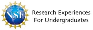 National Science Foundation Research experiences for undergraduates logo