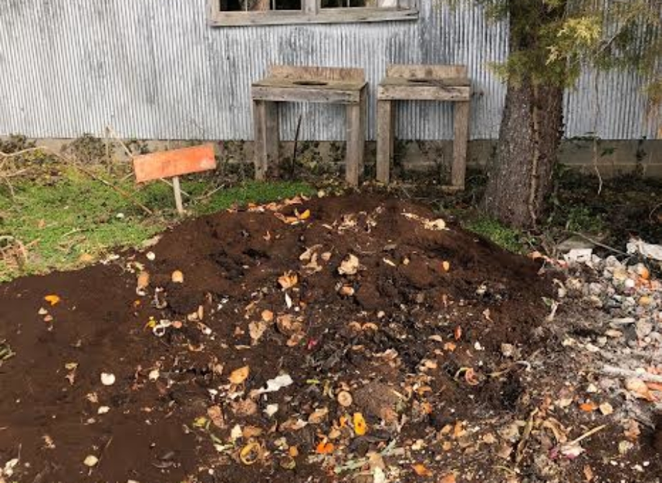 The large pile of kitchen scraps