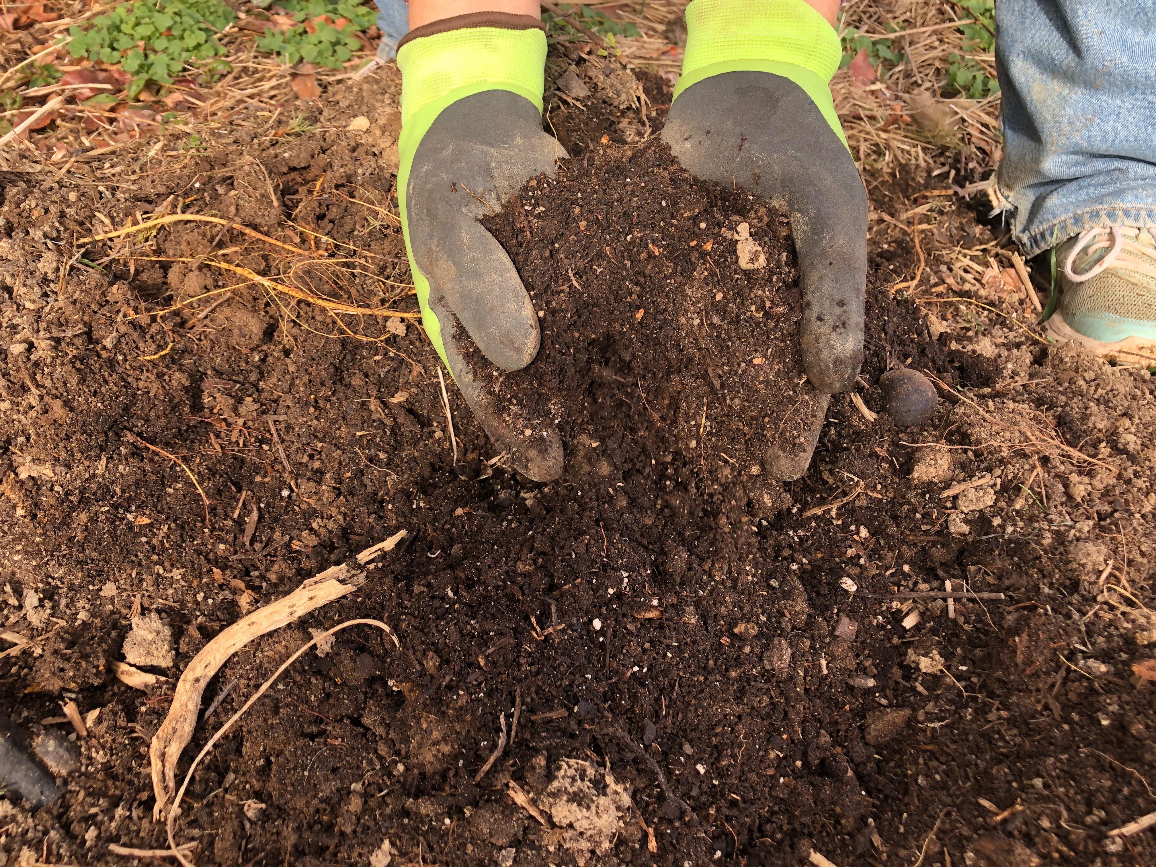 A person digging through the nutrient rich soil made by the compost